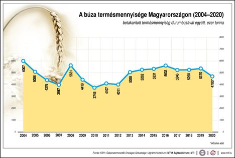 Búzatermés