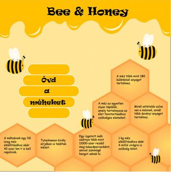 Méh és méz