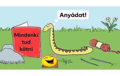 Anyádat !