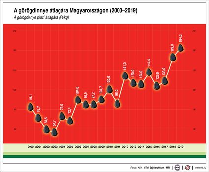 Görögdinnye ára