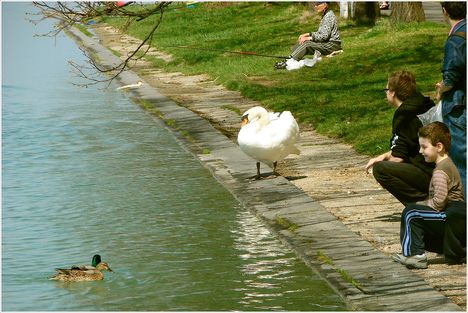 Balaton kincsei 6