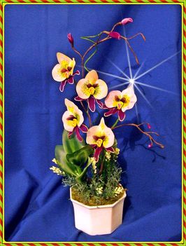 festett orchidea