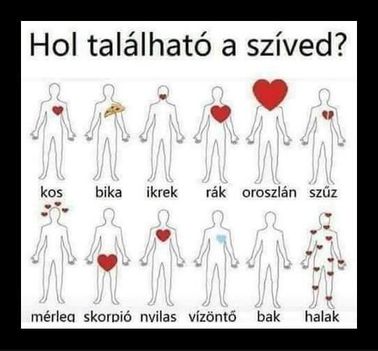 Hol a szíved !