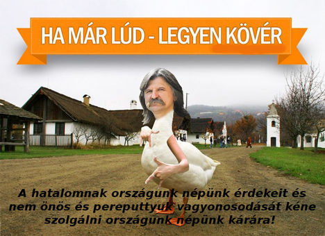 Kövér Laci lud