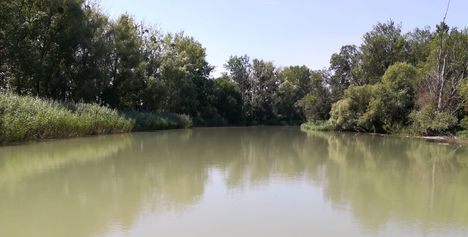 Mosoni-Duna a Halászi alatti szakaszon Mosonmagyaróvár és Máriakálnok között,  2019. július 24.-én 1
