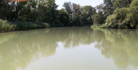 Mosoni-Duna a Halászi alatti szakaszon Mosonmagyaróvár és Máriakálnok között,  2019. július 24.-én 2