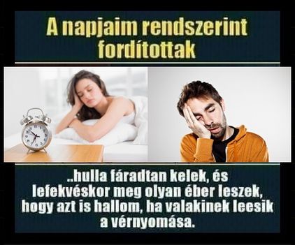 Napjaim !