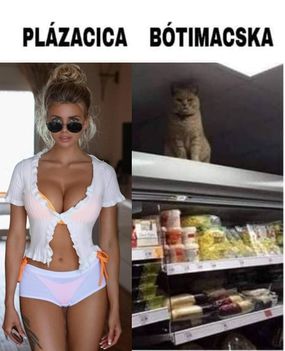 Plázacica !