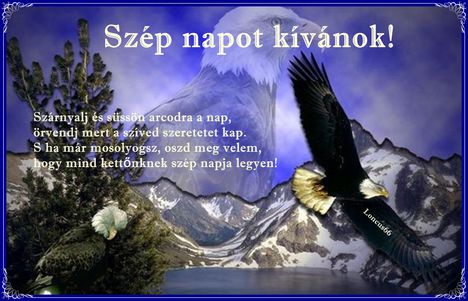 szep_napot_kivanok_