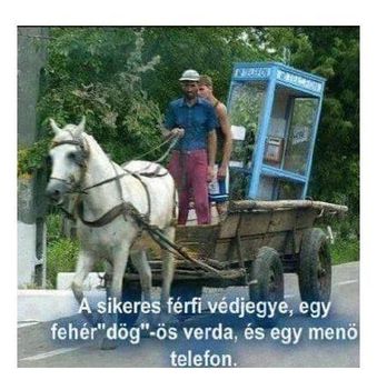 A sikeres férfi védjegye !