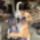 Az_ember_kutyaja_haverkodik__2161872_9028_t