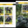 Gorillak_2161104_4207_t