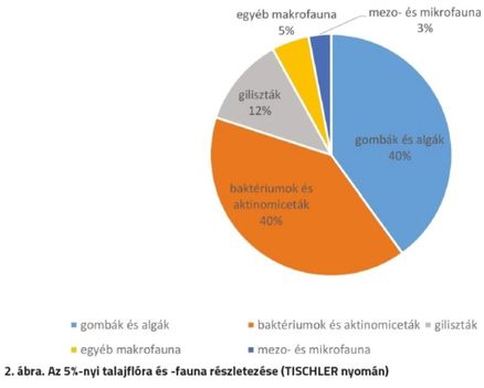 talajflóra és fauna megoszlása