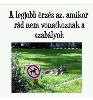 A legjobb érzés !