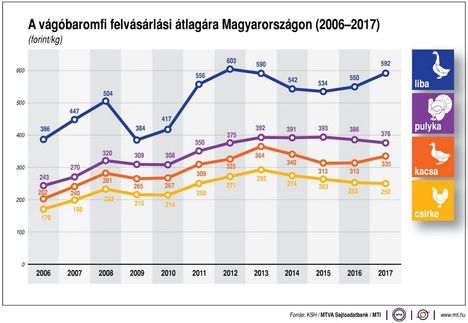 A vágóbaromfi ára