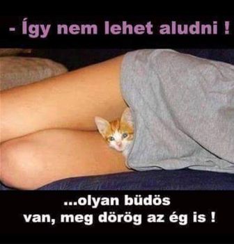 gy nem lehet aludni !