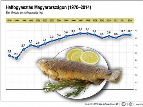 Halfogyasztás