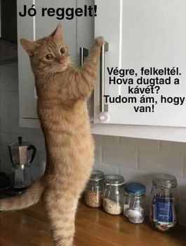 Jó reggelt !