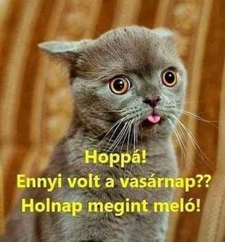 Vasárnapi kép !