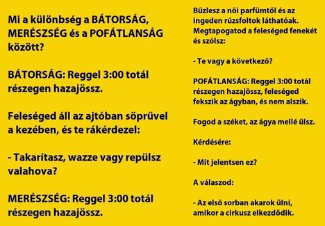 Vs, Bátorság, merészség, pofátlanság !