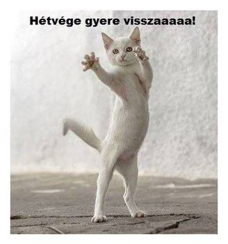 Gyere vissza !