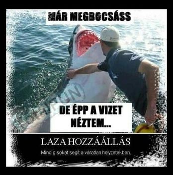 Laza hozzáállás !