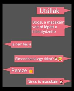 Utállak !