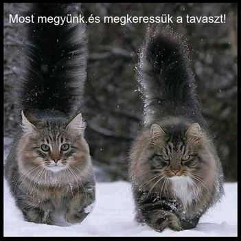 Keressük a tavaszt !
