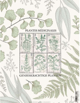 Orvosi növények