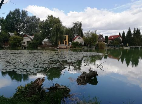 Kis-Zátonyi Duna-ág, Dunasziget, 2019.09.26   (2)