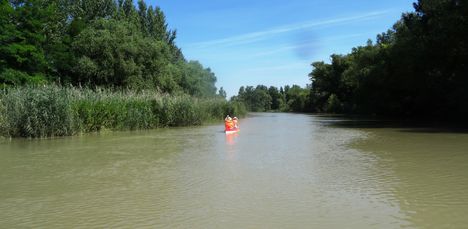 Mosoni-Duna folyó, Dunakiliti község külterületén 2016. július 16  1