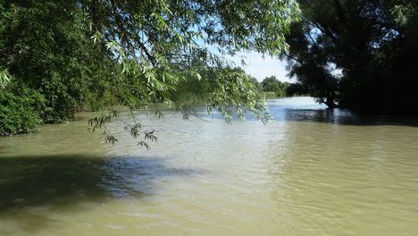 Mosoni-Duna folyó, Dunakiliti község külterületén 2016. július 16  2