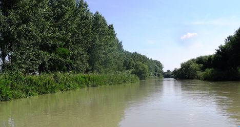 Mosoni-Duna folyó, Dunakiliti község külterületén 2016. július 16  3