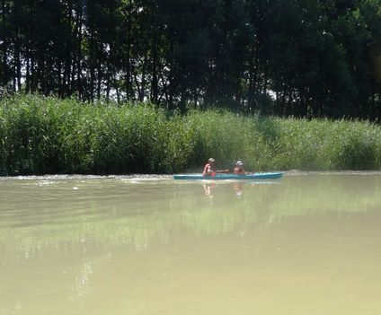 Mosoni-Duna folyó, Dunakiliti község külterületén 2016. július 16  6