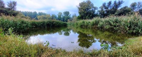 Dagonyázó hely az Árvaszigeti belső tó, Ásványráró 2022.09.26-án