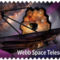 James Webb Űrtávcső