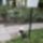 Babadog122okt19_2172447_5607_t