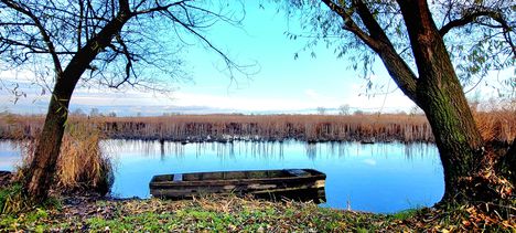 Holt-Duna, a lipóti morotva tó