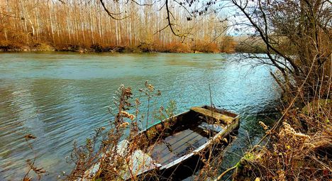 Nagybodaki Duna-ág a Királyréti bukó alvízén, Csallóköz