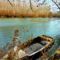 Nagybodaki Duna-ág a Királyréti bukó alvízén, Csallóköz