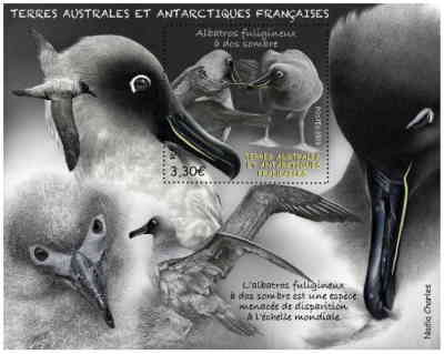 Kormos albatrosz