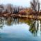 Európa legnagyobb vizes élőhely rehabilitációja Szigetköz, részlet: Kisvesszősi Duna-ág