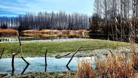 Téli kisvíz a Jakabi Duna-ágon, Dunasziget 2023.01.03-án