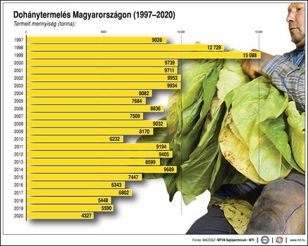 Dohánytermelés