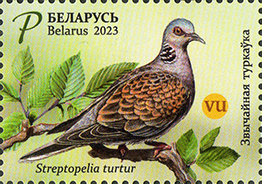 Fehéroroszország madarai