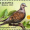 Fehéroroszország madarai