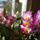 Img_20230204_125752_2177664_2427_t
