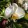 Img_20230204_130317_2177669_8523_t