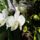 Img_20230204_130403_2177670_8592_t