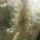 Img_20230204_130547_2177675_8681_t
